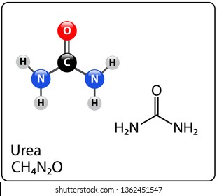 Urea Molecule Structure