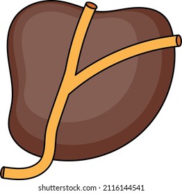 Urethra Concept Vector color Icon Design, Organ System Symbol, Human Anatomy Sign, Human Body Parts Stock illustration