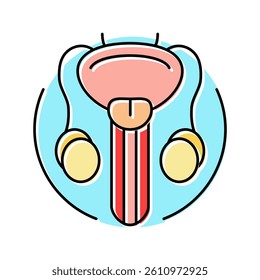 urethral stricture urology color icon vector. urethral stricture urology sign. isolated symbol illustration