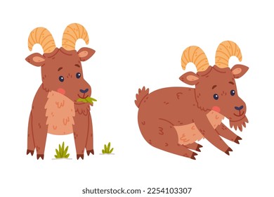 Urial-Charakter als Wildhühner mit Hornhäuten, die Gras-Vektor-Set säen und kauen