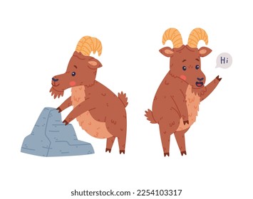 Urial Character as Wild Mountain Sheep with Horns Standing at Stone and Greeting Waving Hoof Vector Set