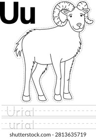 Urial - Coloring Book Writing Practice Sheet
