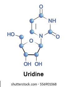Uridine is a glycosylated pyrimidine-analog containing uracil attached to a ribose ring via N1-glycosidic bond. It is one of the five standard nucleosides which make up nucleic acids