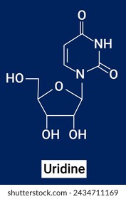 La uridina (símbolo U o Urd) es un análogo de la pirimidina glucosilada que contiene uracilo unido a un anillo de ribosa a través de un enlace β-N1-glucosídico.