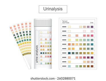 A urinalysis is a simple test that checks urine (pee) for signs of health issues like infections, kidney problems, diabetes, and liver disease. medical healthcare ,vector illustration.