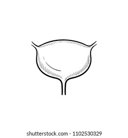 Harnblase handgezeichnet Umriss doodle Symbol. Harnwegsinfektion und Cystitis-Konzept, Vektorgrafik für Print-, Web-, Mobil- und Infografiken einzeln auf weißem Hintergrund.
