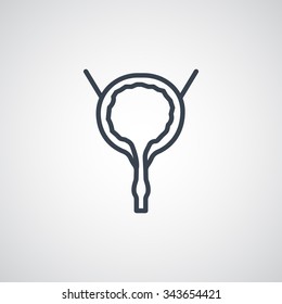 Urinary bladder icon