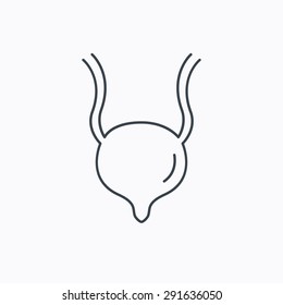 Urinary bladder icon. Human body organ sign. Urology health symbol. Linear outline icon on white background. Vector