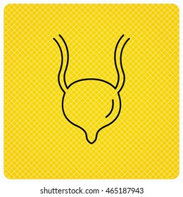 Urinary bladder icon. Human body organ sign. Urology health symbol. Linear icon on orange background. Vector