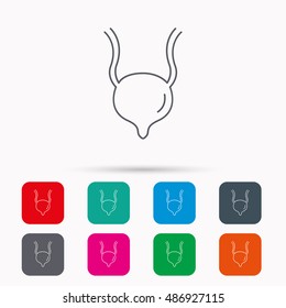 Urinary bladder icon. Human body organ sign.