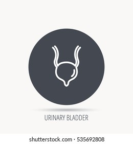Urinary bladder icon. Human body organ sign. Urology health symbol. Round web button with flat icon. Vector