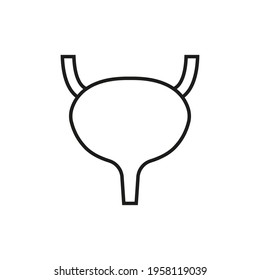 Urinary bladder icon. Vector. Line style.