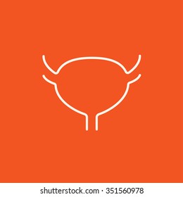 Urinary bladder line icon for web, mobile and infographics. Vector white icon isolated on red background.
