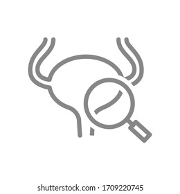 Urinary bladder with magnifying glass line icon. Human organ research, disease prevention symbol