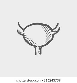 Urinary bladder sketch icon for web, mobile and infographics. Hand drawn vector dark grey icon isolated on light grey background.