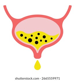 Urinary bladder, ureter and urethra icon. Urinary system. Flat design, linear and color styles. Isolated vector illustrations