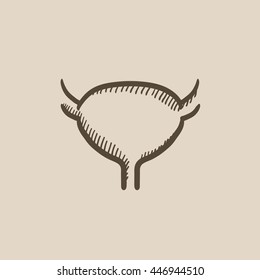 Icono de esbozo del vector de vejiga urinaria aislado en el fondo. Icono de la vejiga urinaria dibujado a mano. Icono de boceto de vejiga urinaria para infografía, sitio web o aplicación.