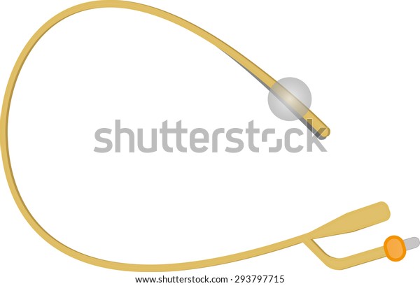 Urinary Catheter Stock Vector Royalty Free 293797715