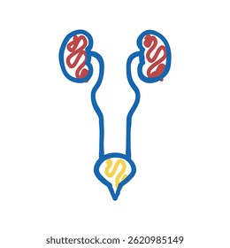 Vector de dibujo de icono de doodle del sistema urinario. signo del sistema urinario. ilustración de símbolo aislado