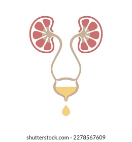 Icono gráfico del sistema urinario. Órganos humanos: riñones, úteros y signos de vejiga. Símbolo urológico aislado en fondo blanco. Ilustración del vector
