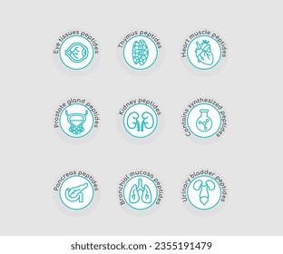urinary system and heard kidney peptides set icons