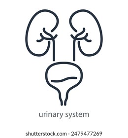 Urinary system of human. Line icon symbol of a urology clinic. Vector illustration isolated on white background