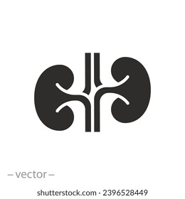 urinary system icon, kidneys concept, kidney flat symbol - vector illustration