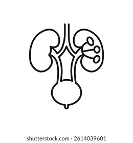 Urinary system icon line art vector