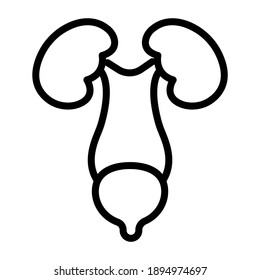 Urinary System Icon In Modern Style Vector 