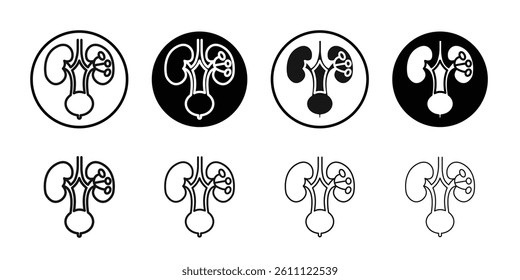Urinary system icon Vector flat thin line illustration