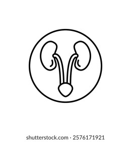 Urinary system icon vector outline logo sign