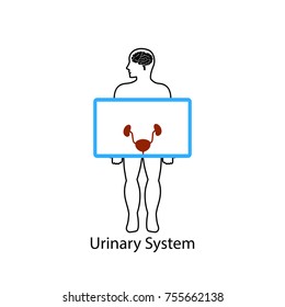 Urinary system on screen. Urology concept.Vector illustration.