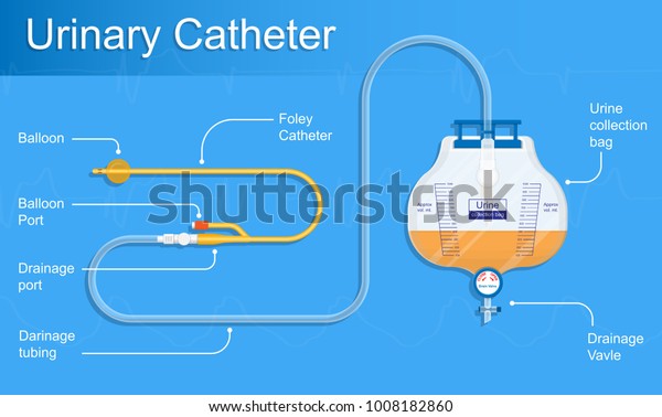 Urine Bag Medical Treatment Drainage Bladder Stock Vector (Royalty Free ...