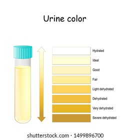 Urine Color Chart Assessing Hydration 260nw 1499896700 