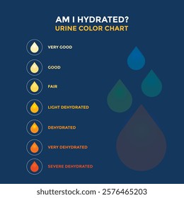 Urine color chart diagram. Vector infographic urine chart illustration