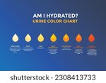 Urine color chart. Infograpic vector illustration
