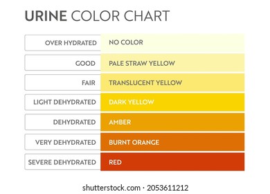 Urine Color Chart Pee Hydration Dehydration Stock Vector (Royalty Free ...