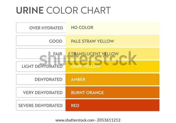 Urine Color Chart Pee Hydration Dehydration Stock Vector (Royalty Free ...