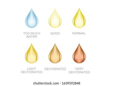 Urine Color Vector Transparent Yellow Orange Stock Vector (Royalty Free ...