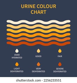 Urin-Farbdiagramm. Hydratations- und Dehydratationsdiagramm. Medizinischer Urinaltest für die Harnwegsinfektionsforschung. Behältnisse mit gelber bis brauner Piss für die Urinalyse. Vektorgrafik.