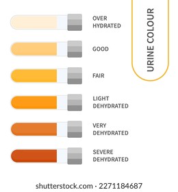 Tabla de color de la orina. diagrama de niveles de hidratación y deshidratación. Kit de pruebas de orina médica para la investigación de infecciones del tracto urinario. Contenedores con orina de color amarillo a marrón para análisis de orina. Ilustración vectorial.
