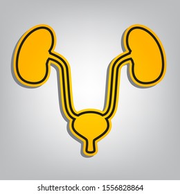 Urogenital system sign. Flat orange icon with overlapping linear black icon with gray shadow at whitish background. Illustration.