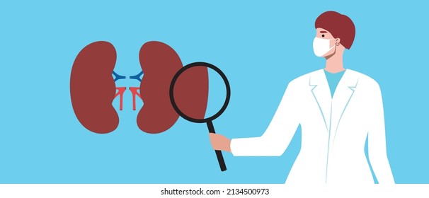 1,280 Urologist Stock Vectors, Images & Vector Art | Shutterstock