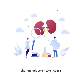 Urology disease treatment and research concept. Vector flat medical illustration. Human kidneys, medicine pills, magnifier glass and book sign. Male and female doctor scientist team.