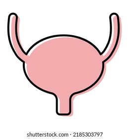 Urology Health Human Icon, Anatomy Medical Body Bladder Sign, Biology Vector Illustration .