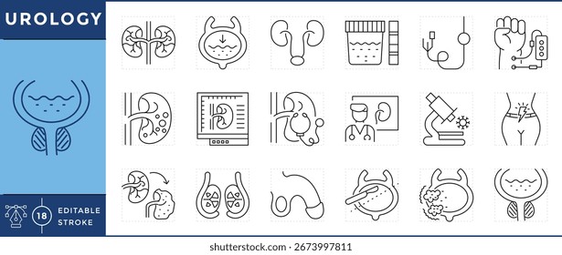 Urology icons set. Kidneys, bladder, male, organ, urethra, dialysis, doctor, prostate, kidney stone, and many more. Vector editable stroke.