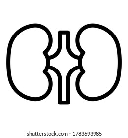 Urology kidney icon. Outline urology kidney vector icon for web design isolated on white background