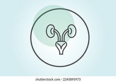 Urology also known as genitourinary surgery, is the branch of medicine that focuses on the surgical and medical diseases of the male and female urinary tract system