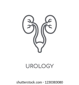 Urology linear icon. Modern outline Urology logo concept on white background from Health and Medical collection. Suitable for use on web apps, mobile apps and print media.