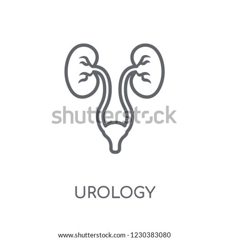 Urology linear icon. Modern outline Urology logo concept on white background from Health and Medical collection. Suitable for use on web apps, mobile apps and print media.
